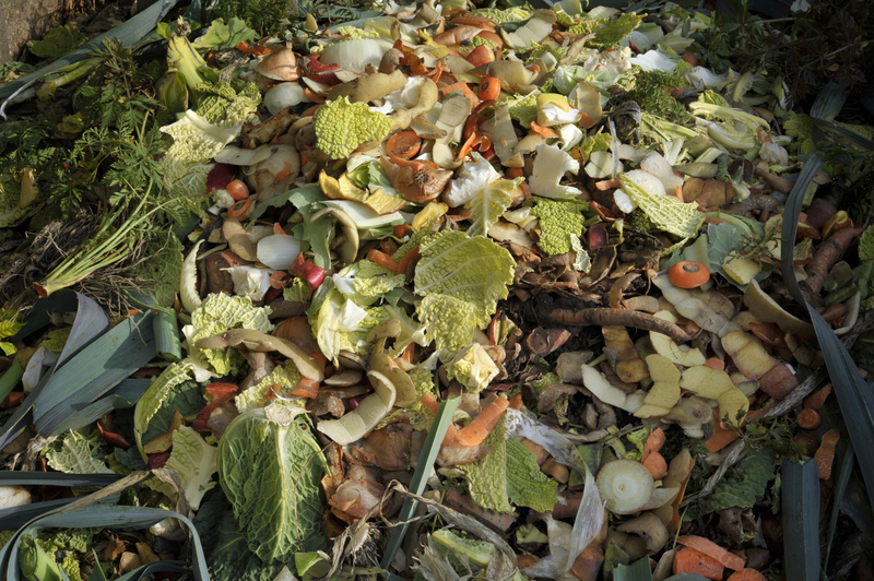 waste removal waste collection